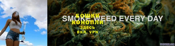 ешки Вязьма