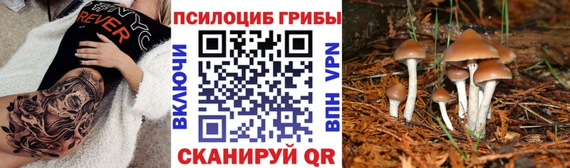 Псилоцибиновые грибы ЛСД  Заинск 
